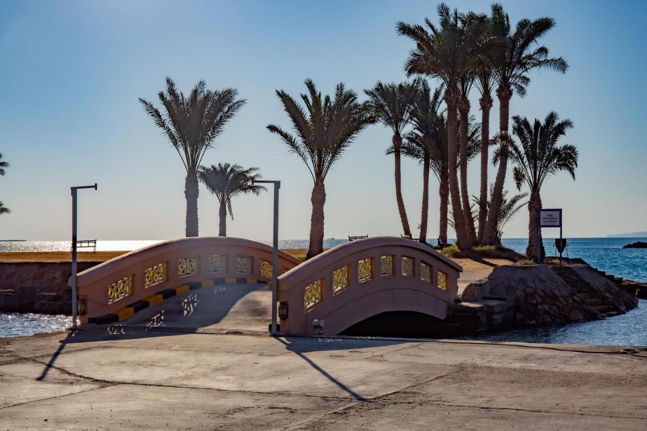 Continental הורגהדה